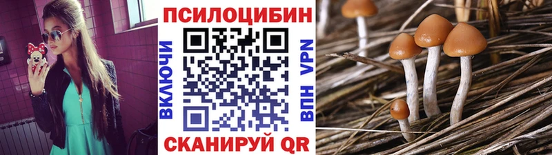 Галлюциногенные грибы мухоморы  Глазов 